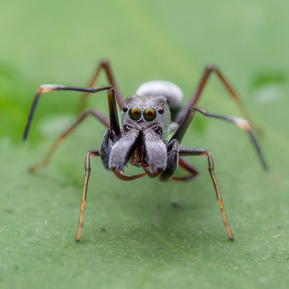 Photograph by Mohammed thbliq Azman