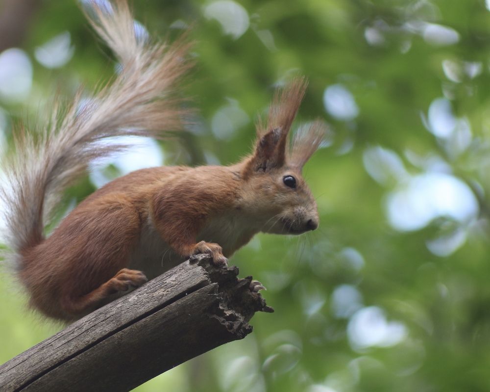 Photograph by Александр Затямин