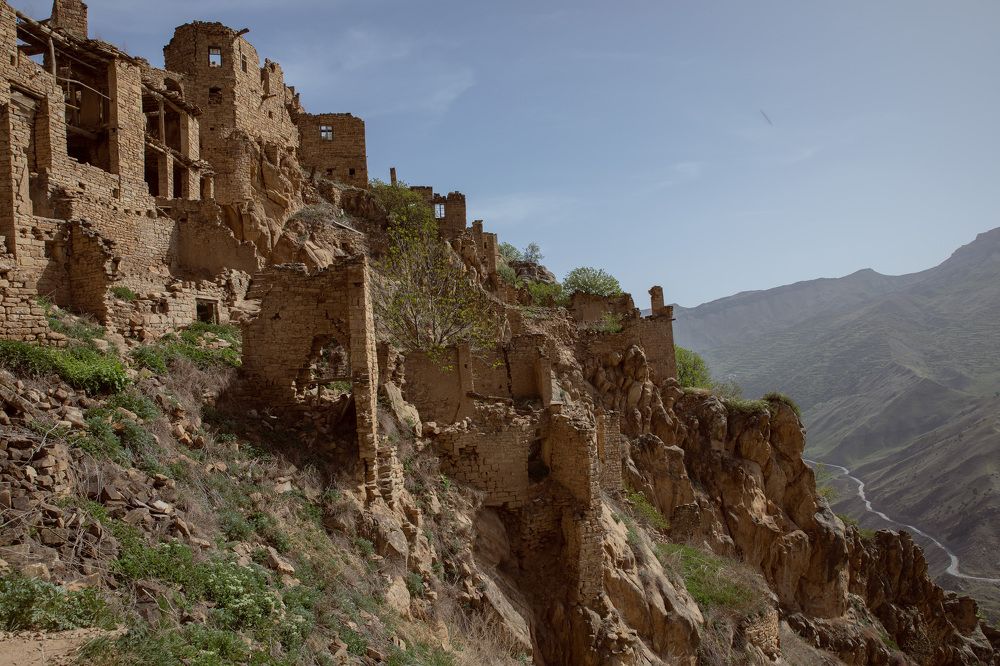 Photograph by Елена Донская