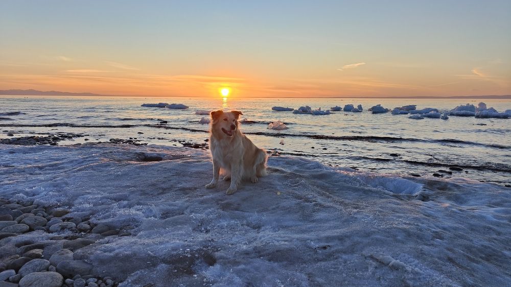 Photograph by Виктория