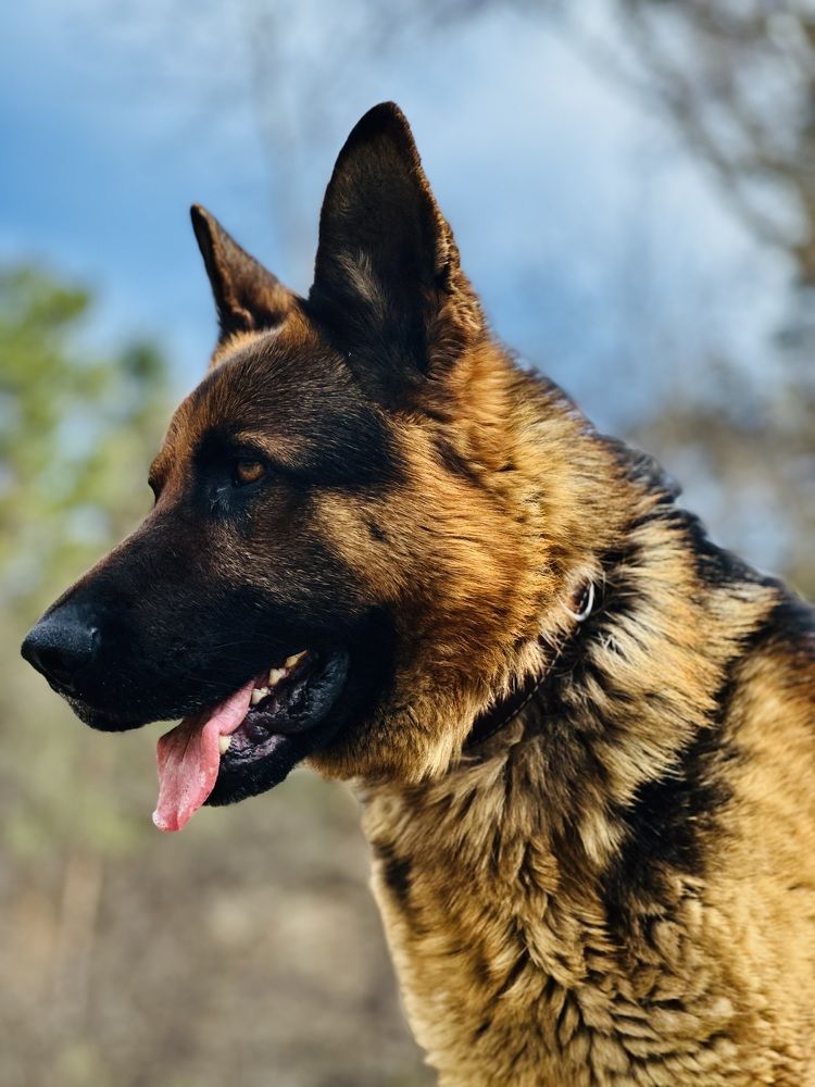 Photograph by Мария