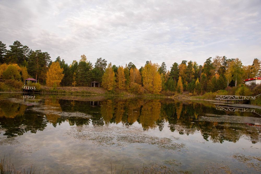 Фотография автора Сергей Чесноков