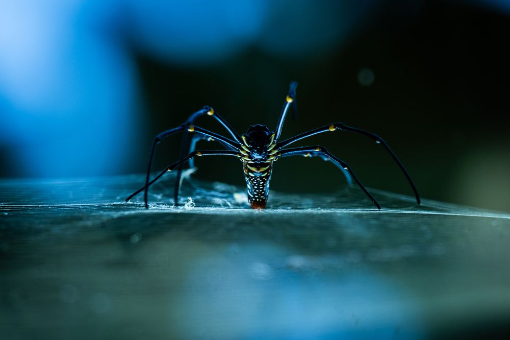 Photograph by Debashis Subudhi