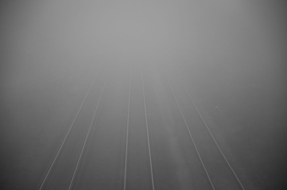 Photograph by Roman Dmitriev