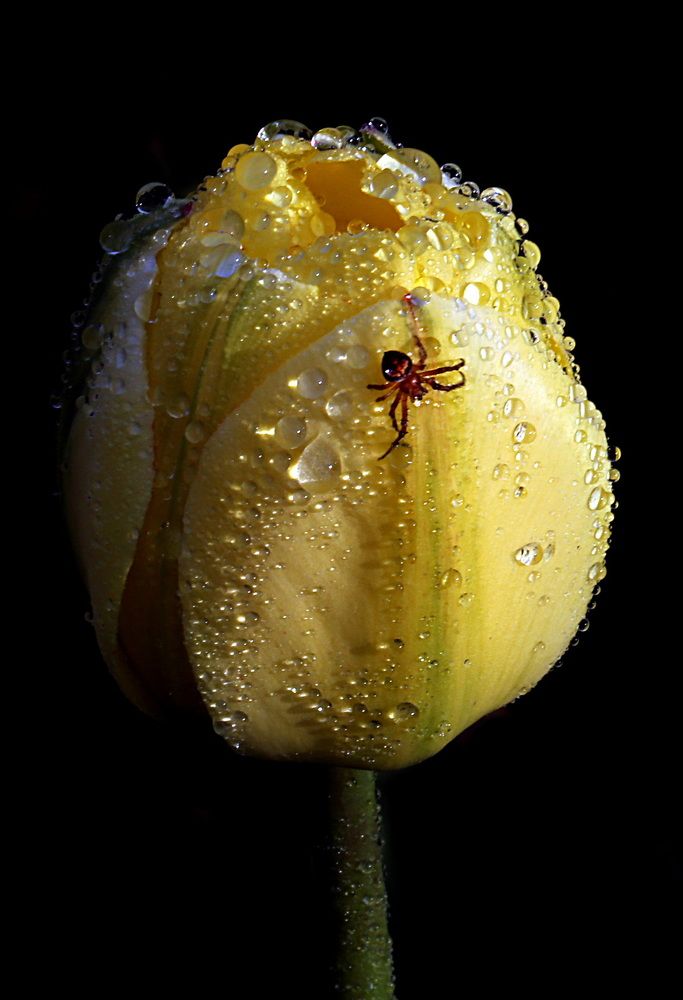 Photograph by Бибичков Михаил