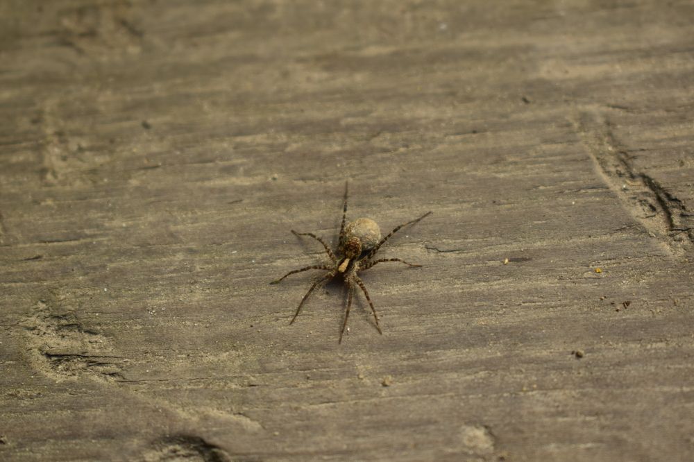 Photograph by Наталья Еременко