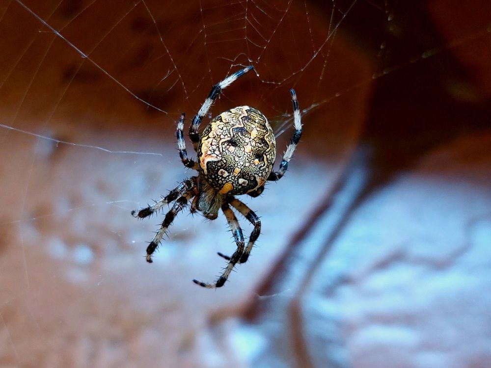 Photograph by Мария