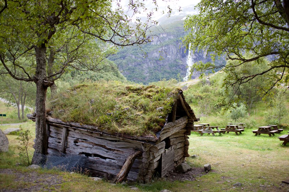 Фотография автора Dmitry Shterenberg