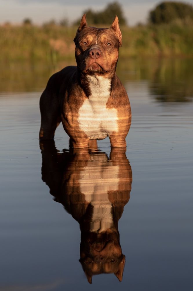 Photograph by Наталья Носова (Кучеренко)