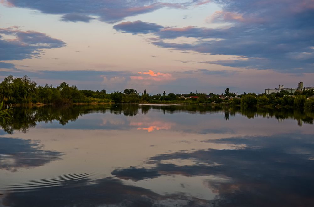 Фотография автора Наталья Алексеева