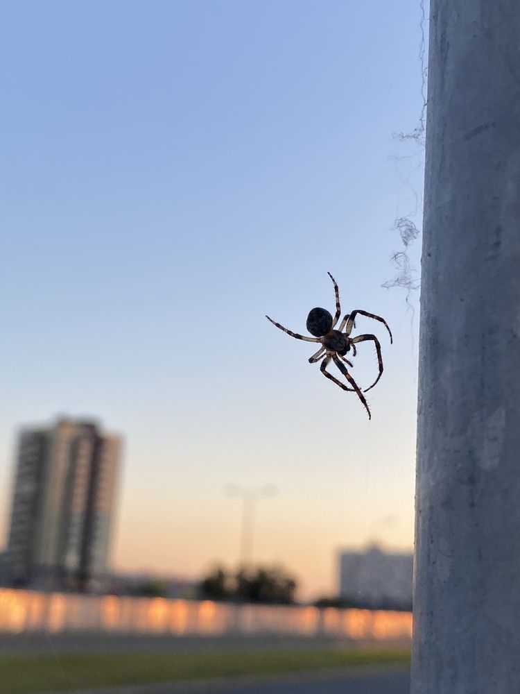 Photograph by Aлександра Чаплыгина