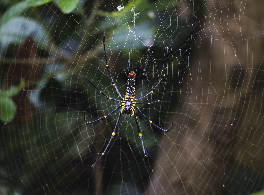 Photograph by Агнес