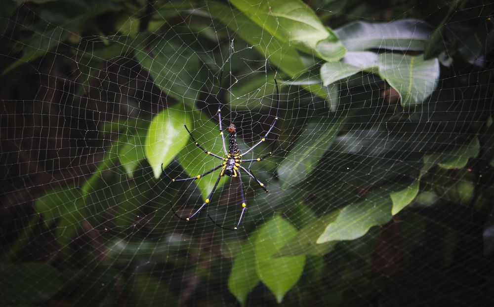 Photograph by Агнес