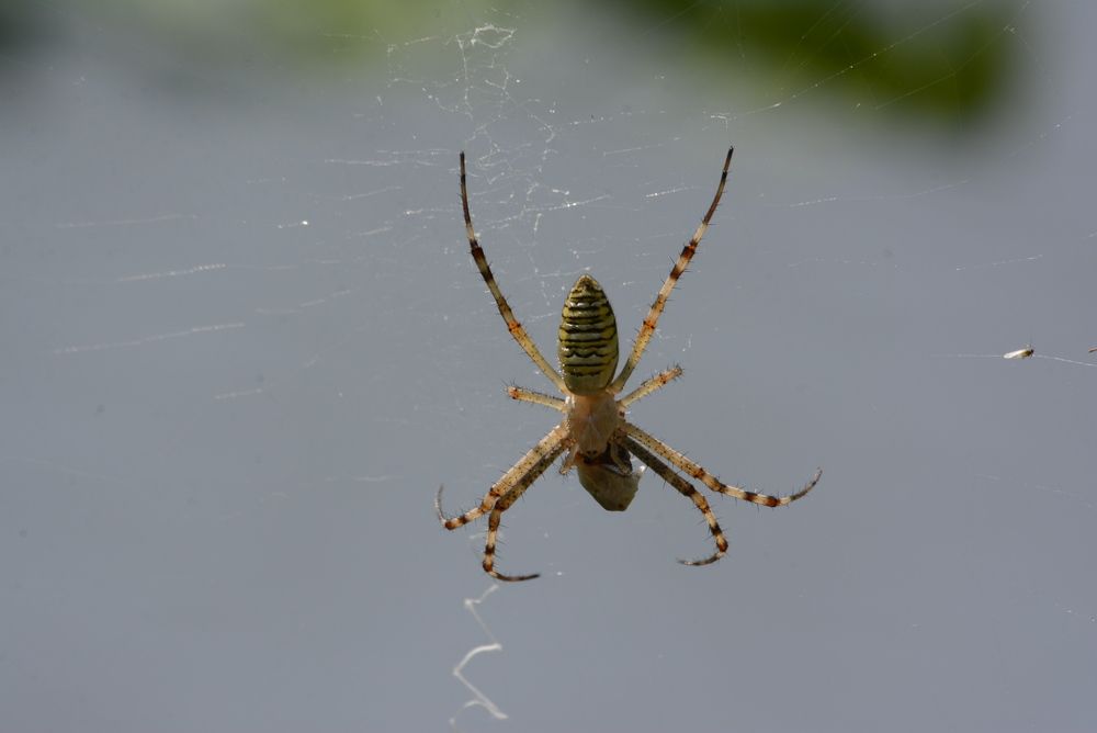 Photograph by Gülşen  Mutlu