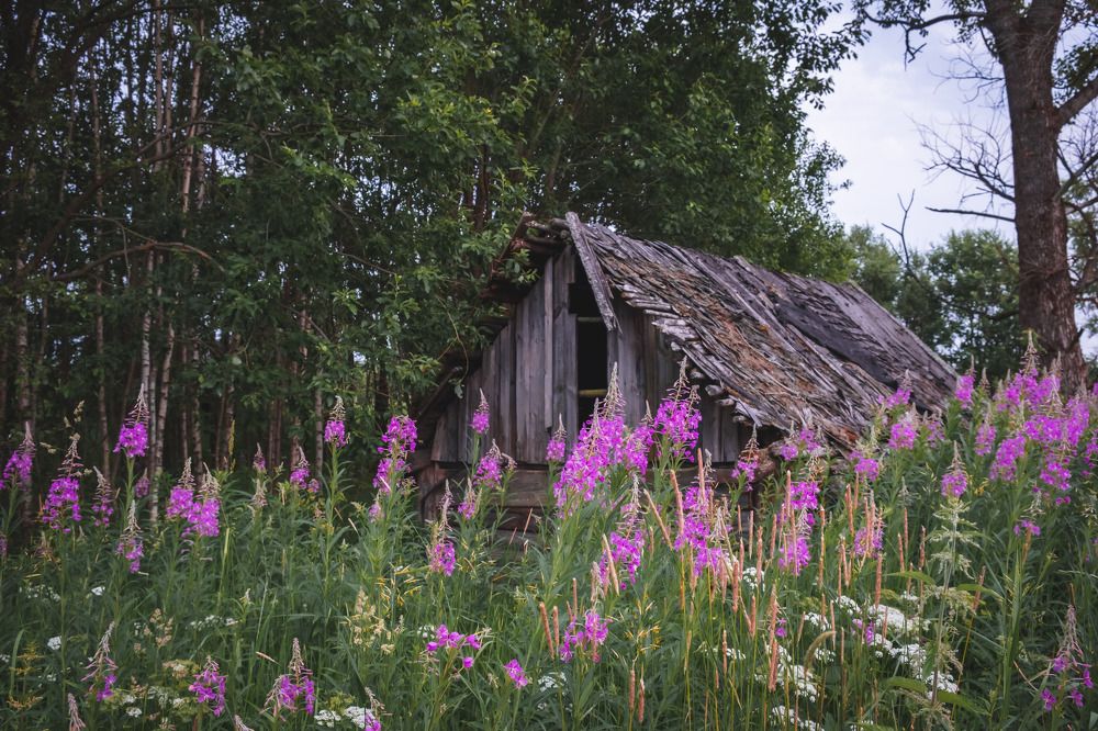 Photograph by Олег Дорошенко