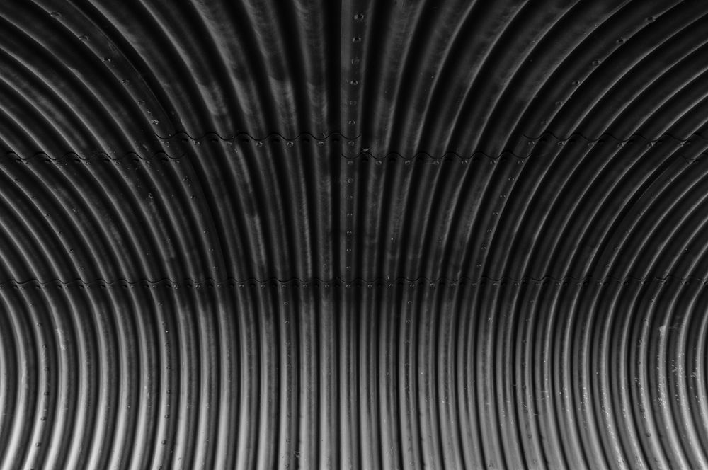 Фотография автора Мария Михайлова