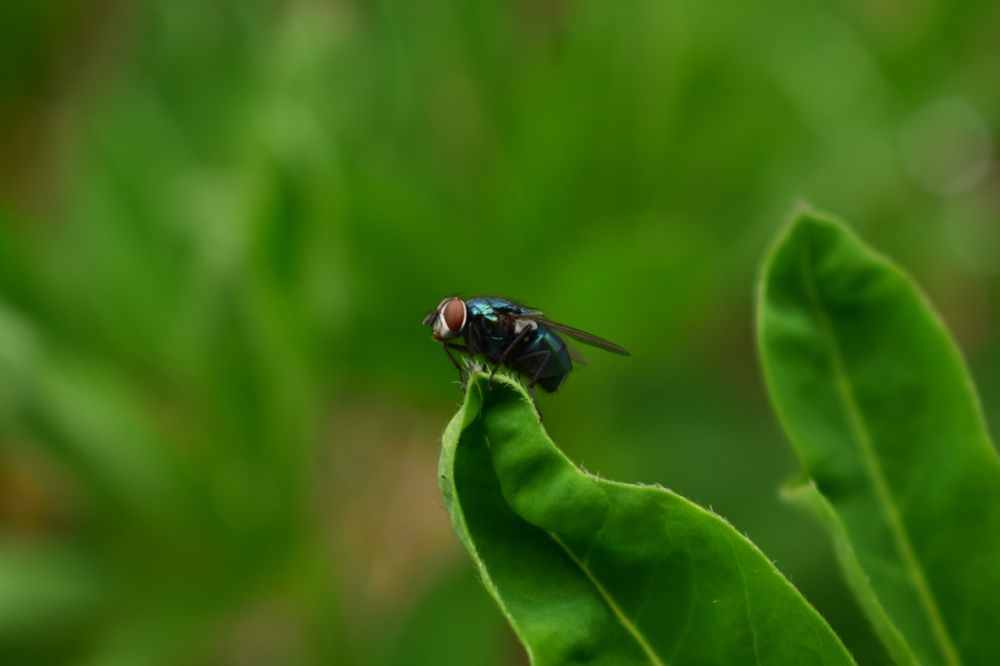 Photograph by Наталья Еременко