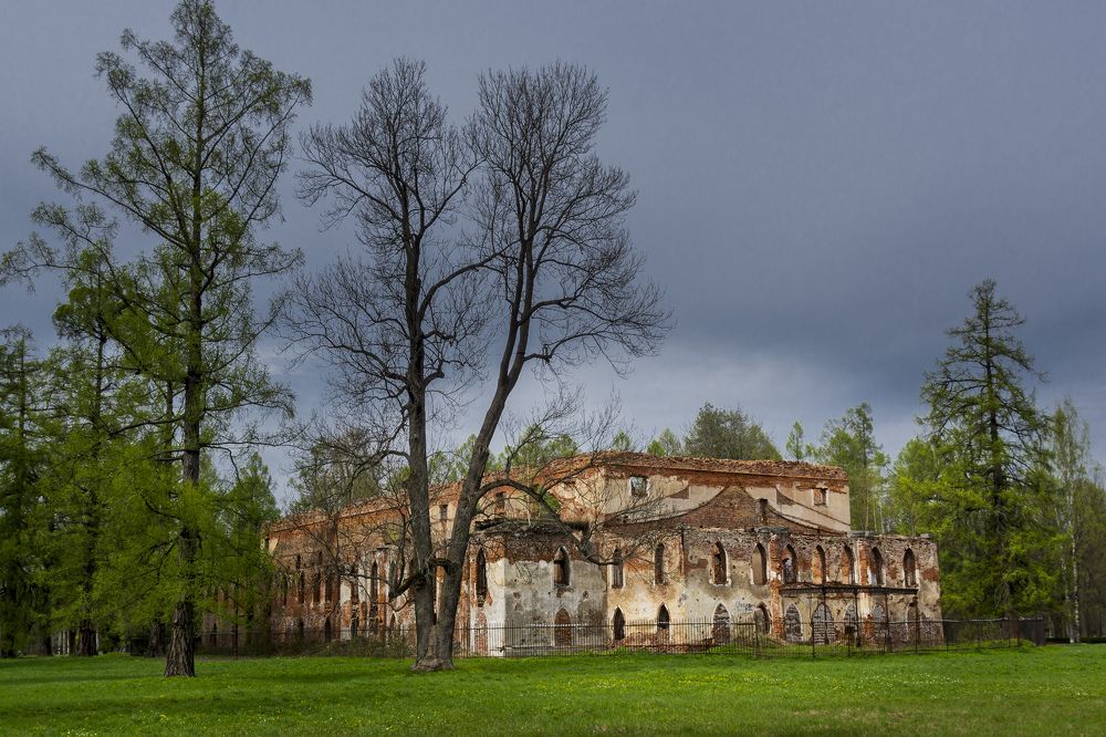 Photograph by Дмитрий