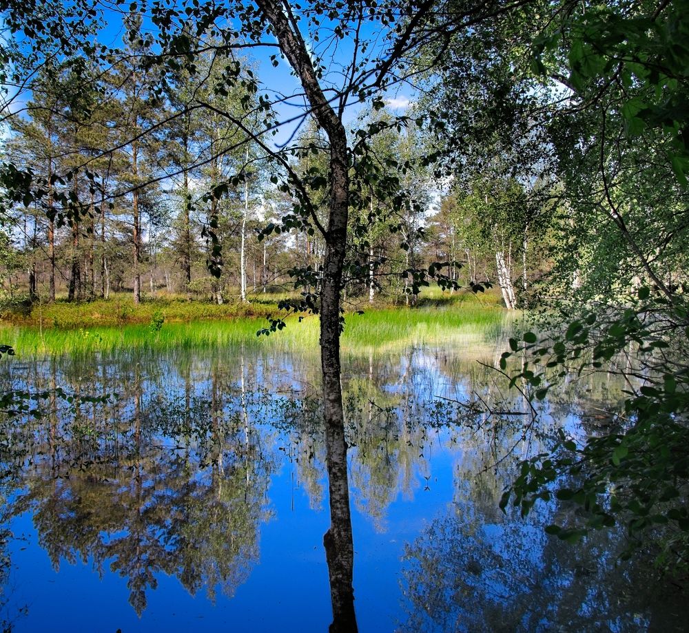 Фотография автора Vladimir Chu