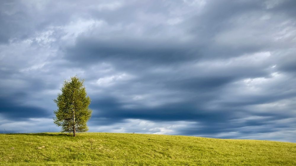 Фотография автора Юлия Шумейко