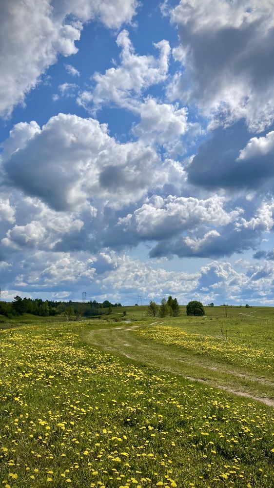 Фотография автора Юлия Шумейко
