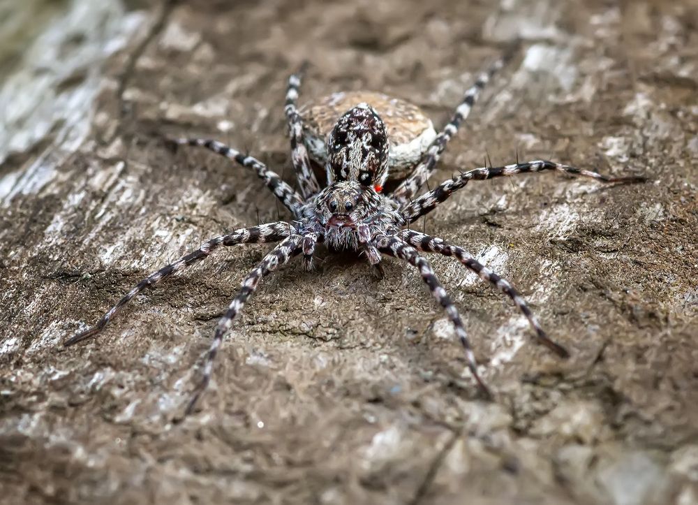 Photograph by Владимир Архипов
