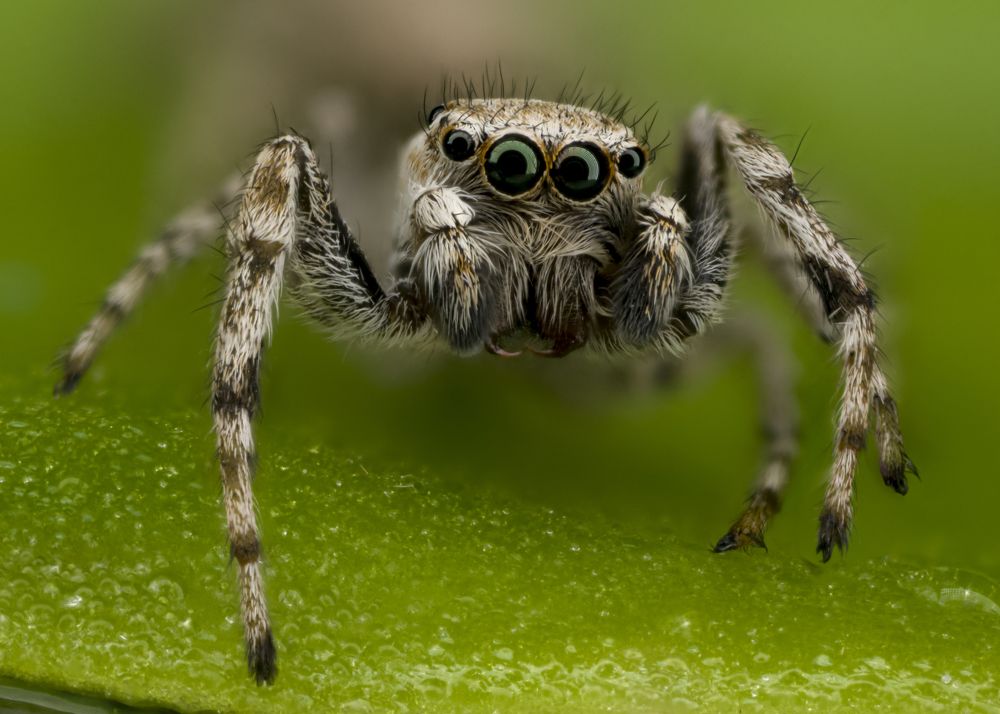 Photograph by Сергей Солобчук