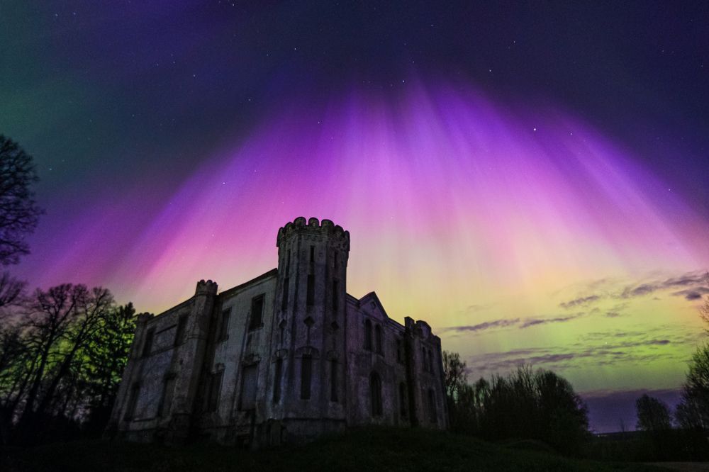 Photograph by Vera Komarova