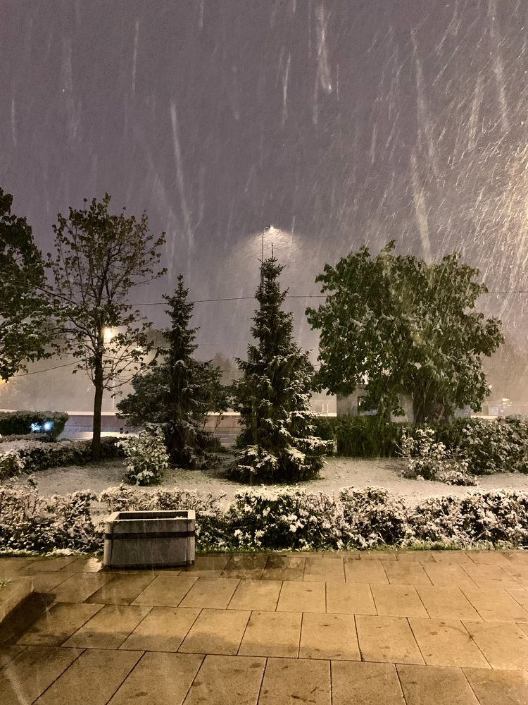 Photograph by Elena Makukha