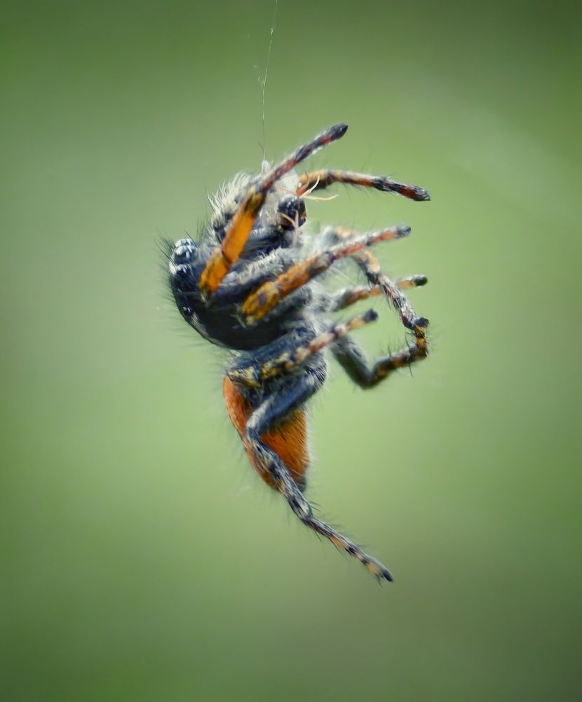 Photograph by Михаил Саидов