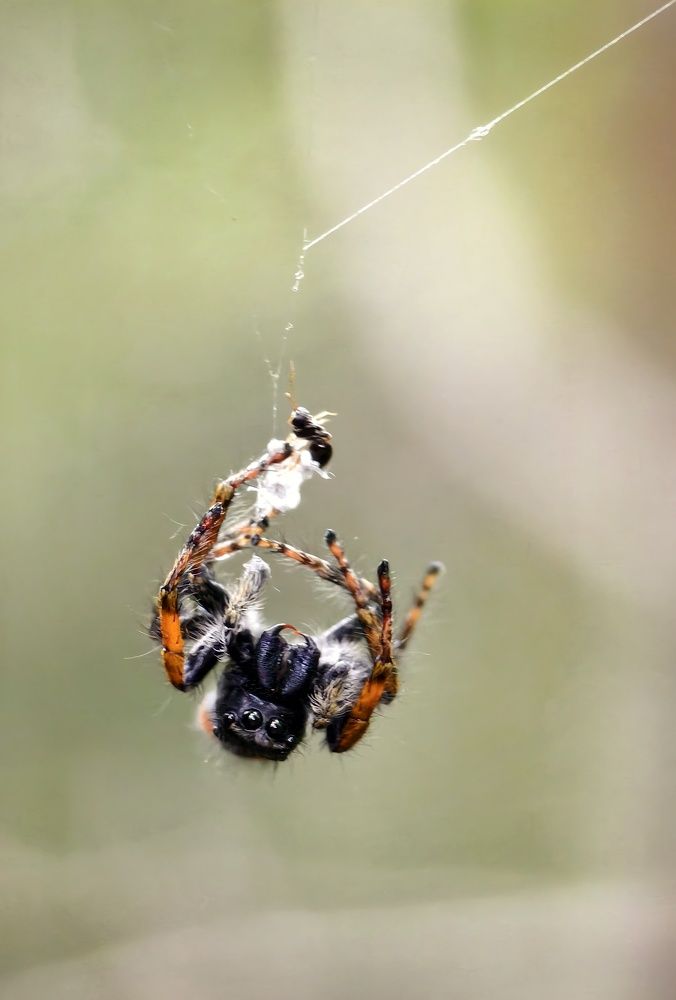 Photograph by Михаил Саидов