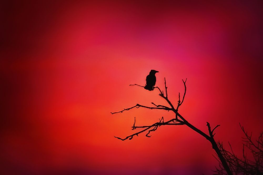 Апрельский закат...