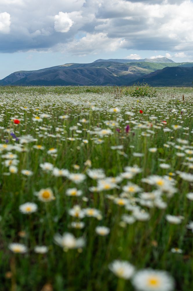 Photograph by Анна Изюмская