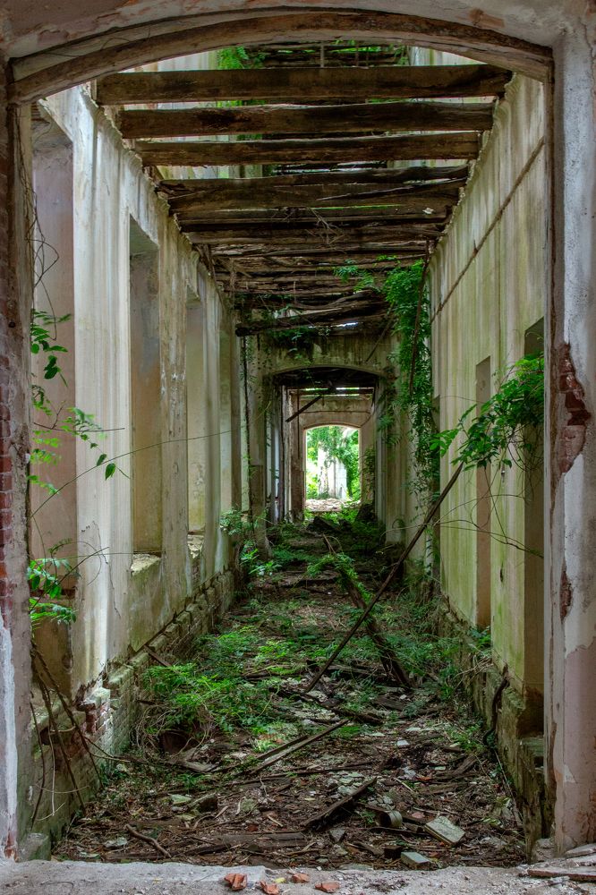 Photograph by Виталий Павлов