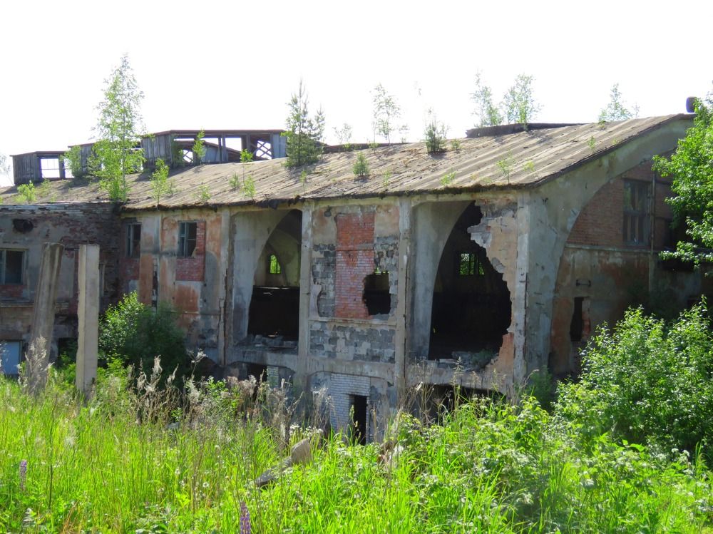 Photograph by Галина Пименова