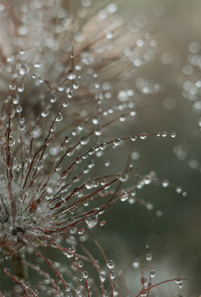 После дождя