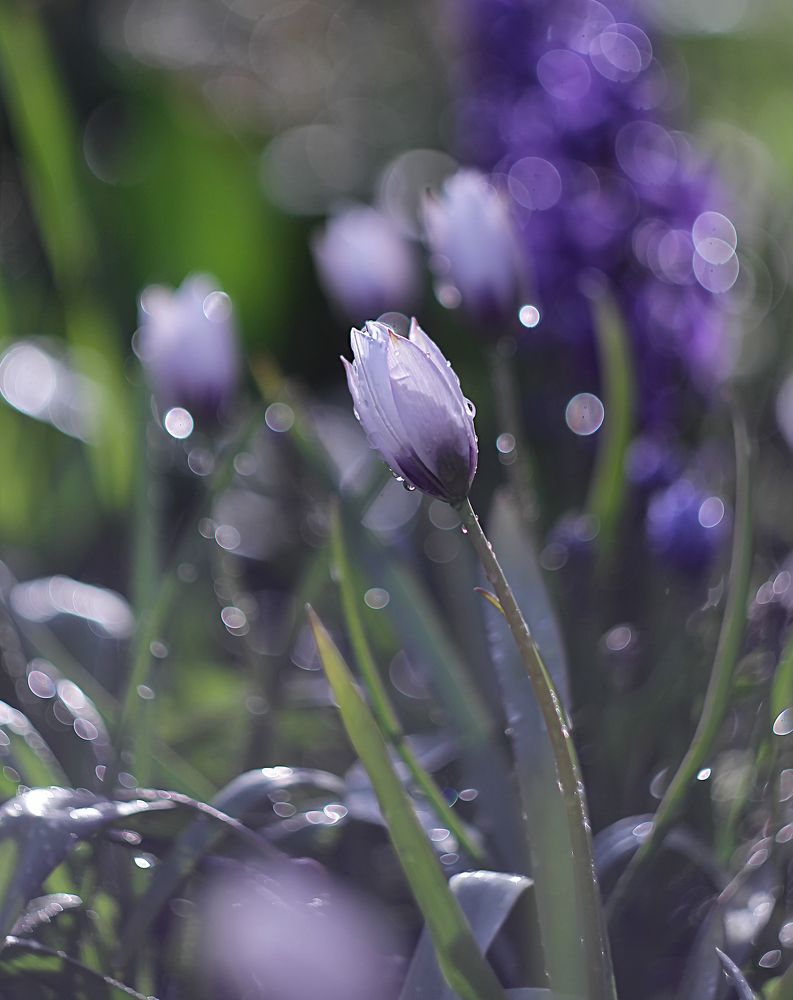 Photograph by Алена Яцун