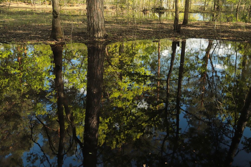 Photograph by Лада Денисова