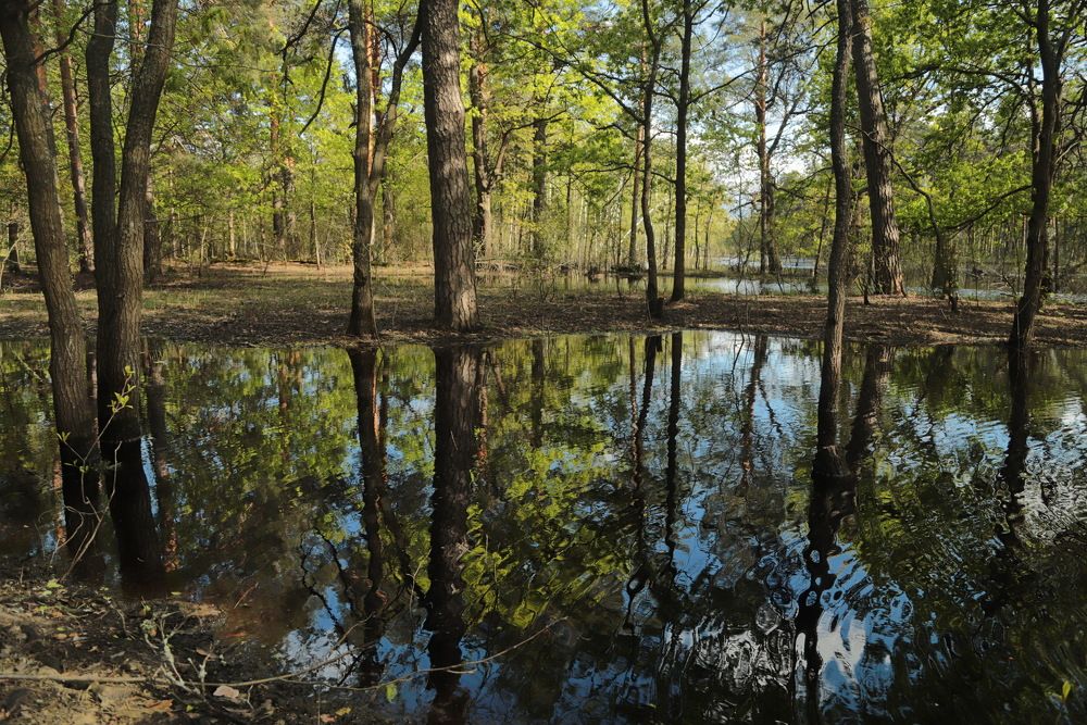 Photograph by Лада Денисова