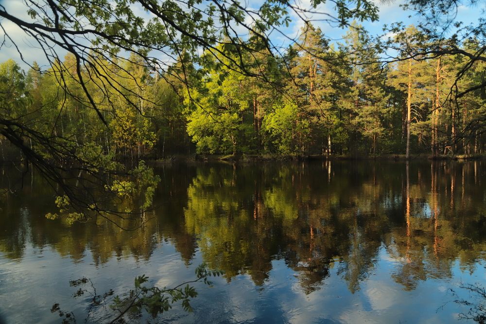 Photograph by Лада Денисова