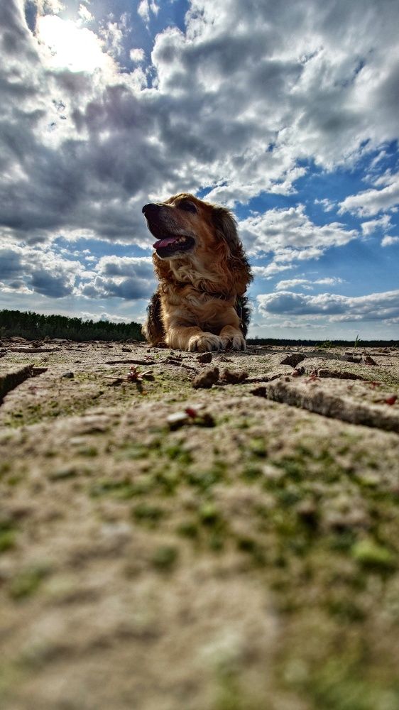 Photo #10617873