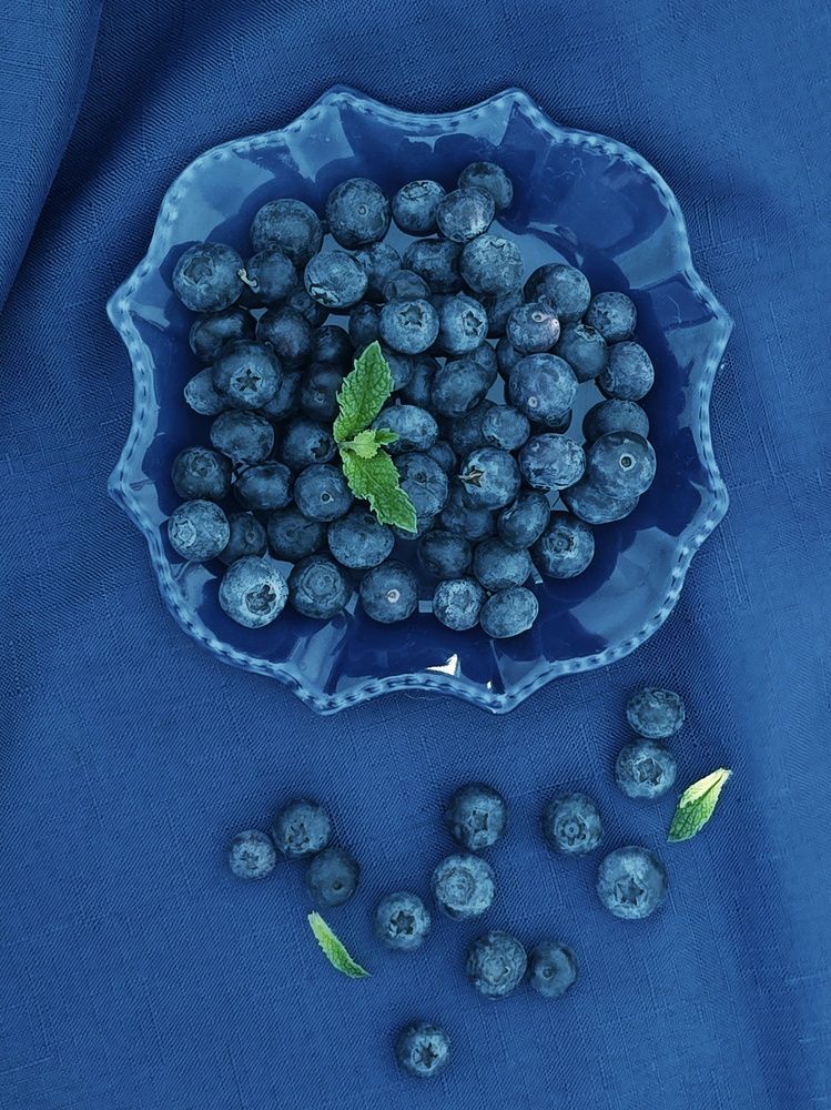 Photograph by Nataliya Mincho