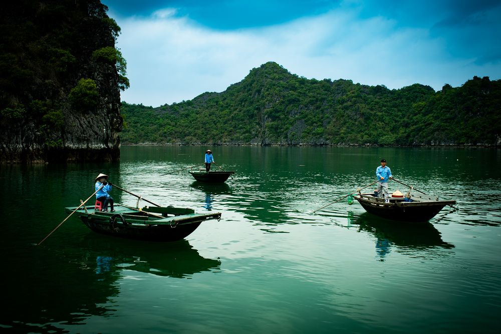 Фотография автора carlos mora