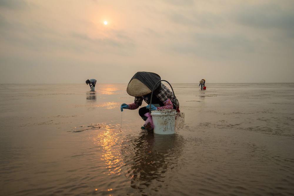 Photograph by Ninh Quốc Trịnh