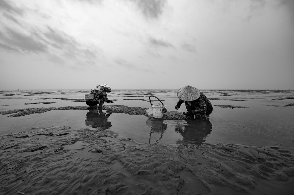 Photograph by Ninh Quốc Trịnh