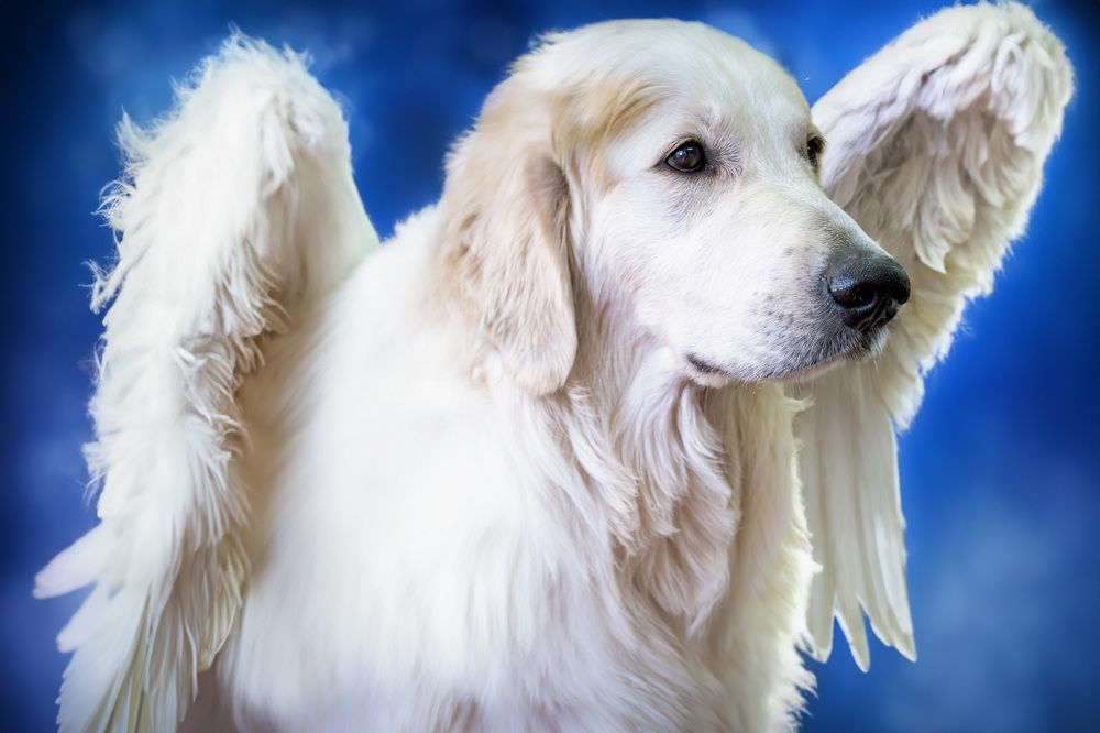 Photograph by Юлия Цепилова