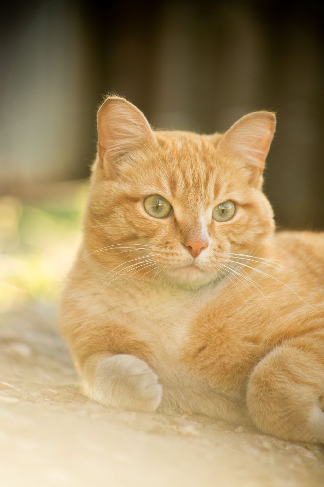 Photograph by Владимир Пилюков