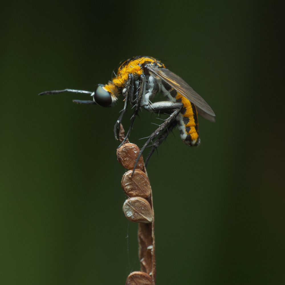 Photograph by Mohammed thbliq Azman