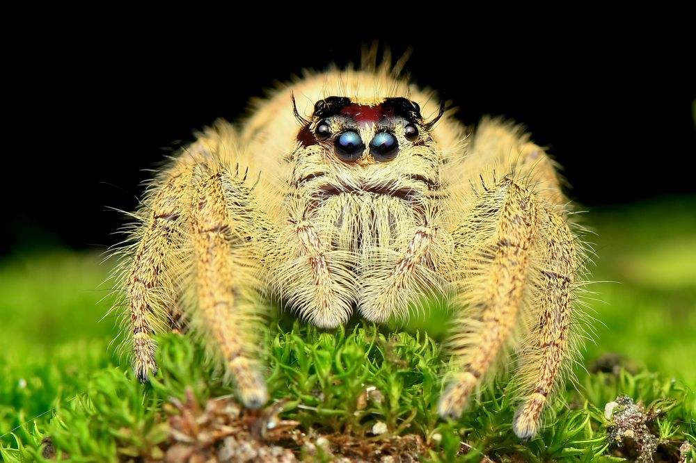 Photograph by deniard 1