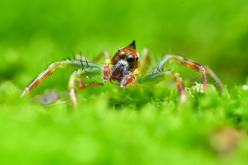 Photograph by deniard 1